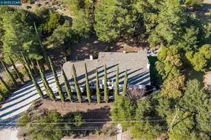 320 Miranda Ln, Alamo, CA 94507 - Photo 52