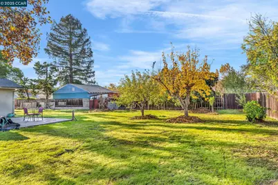 1455 Grove Way, Concord, CA 94518 - Photo 40