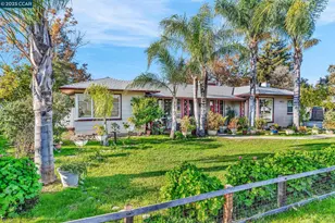 1455 Grove Way, Concord, CA 94518 - Photo 4