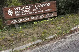 869 Lassen St, Richmond, CA 94805 - Photo 34