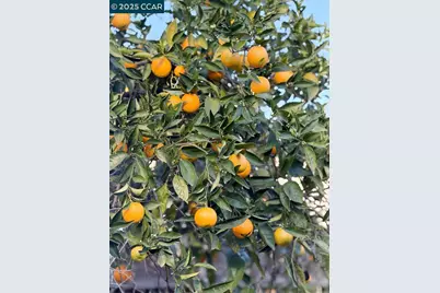 1042 Bermuda Dr, Concord, CA 94518 - Photo 42