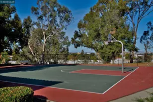 415 Orchard View Ave, Martinez, CA 94553 - Photo 30