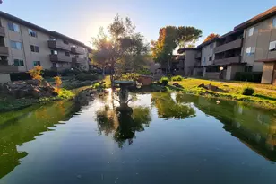 1321 Webster St, Alameda, CA 94501 - Photo 22