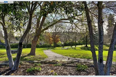 572 Old Farm Rd, Danville, CA 94526 - Photo 54