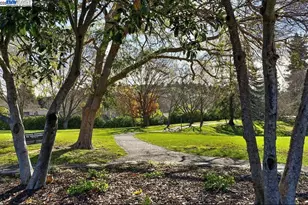 572 Old Farm Rd, Danville, CA 94526 - Photo 54