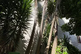 3529 Mission St, San Francisco, CA 94110 - Photo 1