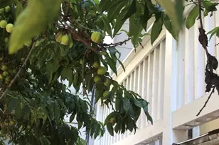 3529 Mission St, San Francisco, CA 94110 - Photo 2