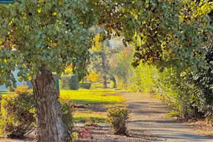 5333 Park Highlands Blvd, Concord, CA 94521 - Photo 26