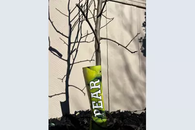 91 Lake Dr, Antioch, CA 94509 - Photo 34