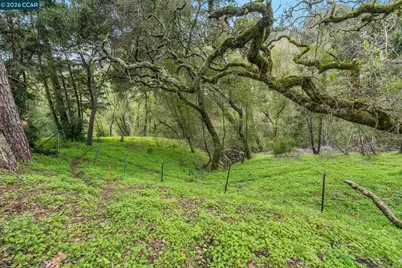9 Charles Hill Rd, Orinda, CA 94563 - Photo 18