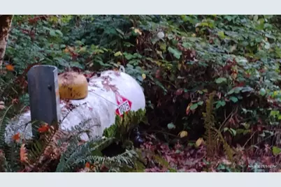 28440 Ryan Creek Rd, Willits, CA 95490 - Photo 20