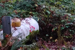 28440 Ryan Creek Rd, Willits, CA 95490 - Photo 20