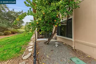 1857 Golden Rain Rd, Walnut Creek, CA 94595 - Photo 16