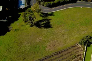 336 Merrilee Pl, Danville, CA 94526 - Photo 2