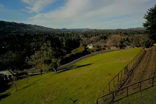 336 Merrilee Pl, Danville, CA 94526 - Photo 8