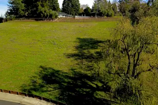 336 Merrilee Pl, Danville, CA 94526 - Photo 4