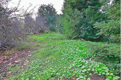 181 Lewelling Blvd, San Lorenzo, CA 94580 - Photo 36