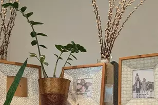 50 Driftwood Cir, Bay Point, CA 94565 - Photo 2