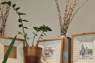 50 Driftwood Cir, Bay Point, CA 94565 - Photo 2