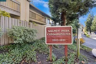 1241 Homestead Ave, Walnut Creek, CA 94596 - Photo 24