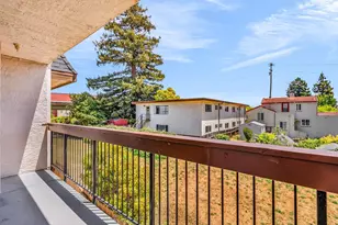 417 Evelyn Ave, Albany, CA 94706 - Photo 22