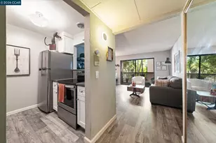 320 Civic Dr, Walnut Creek, CA 94596 - Photo 6