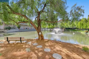 340 Civic Dr, Walnut Creek, CA 94596 - Photo 30