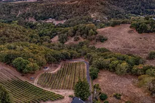 1018 Promenade St, Hercules, CA 94547 - Photo 10