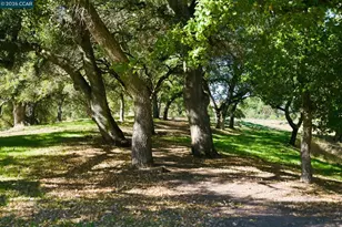 1940 Golden Rain, Walnut Creek, CA 94595 - Photo 42