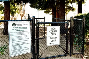 3000 Fostoria Cir, Danville, CA 94526 - Photo 28