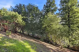 4 Corte Santa Clara, Moraga, CA 94556 - Photo 48