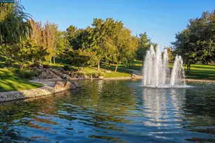 0 Oak Rd, Alamo, CA 94507 - Photo 24