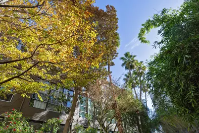 1500 Park Ave #106, Emeryville, CA 94608 - Photo 40