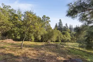 4040 Los Arabis Dr, Lafayette, CA 94549 - Photo 56