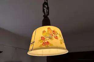 2221 McGee Ave, Berkeley, CA 94703 - Photo 4