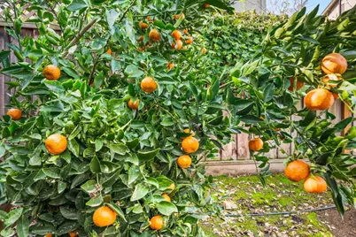 2128 Alexander Way, Pleasanton, CA 94588 - Photo 30