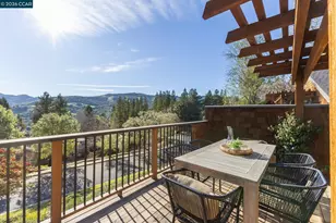 316 Village View Ct, Orinda, CA 94563 - Photo 24