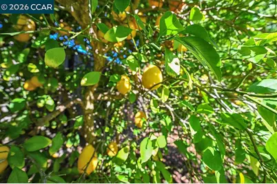 916 Calle Verde, Martinez, CA 94553 - Photo 46