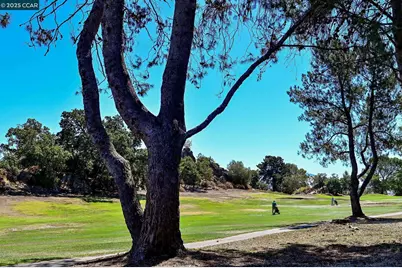 1411 Marchbanks Dr #2, Walnut Creek, CA 94598 - Photo 34