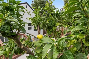 6032 Mauritania Ave, Oakland, CA 94605 - Photo 34