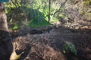 3264 Withers Ave, Lafayette, CA 94549 - Photo 48