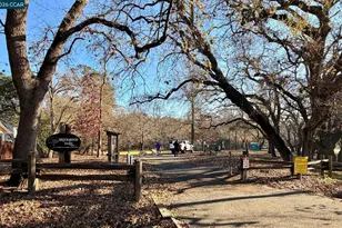 3264 Withers Ave, Lafayette, CA 94549 - Photo 54