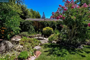 1023 White Gate Rd, Alamo, CA 94507 - Photo 48