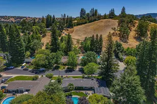 1023 White Gate Rd, Alamo, CA 94507 - Photo 54