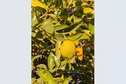 4630 Redwood Rd, Oakland, CA 94619 - Photo 6