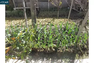 2106 Alfreda Blvd, San Pablo, CA 94806 - Photo 16