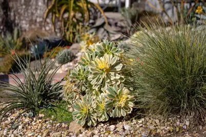 3570 Jordan Rd, Oakland, CA 94619 - Photo 44