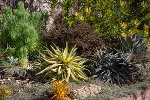 3570 Jordan Rd, Oakland, CA 94619 - Photo 60