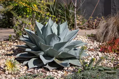 3570 Jordan Rd, Oakland, CA 94619 - Photo 56