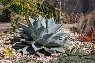 3570 Jordan Rd, Oakland, CA 94619 - Photo 56